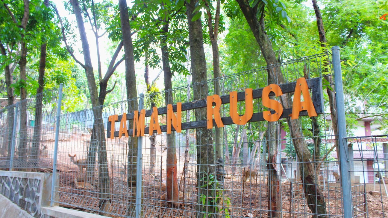 WhatsApp-Image-2023-11-14-at-10.48.52-AM